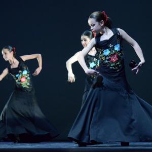 Fotografía de Concurso coreografías 2014. Nivel I - Conservatorio de Danza