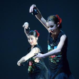 Fotografía de Concurso coreografías 2014. Nivel I - Conservatorio de Danza