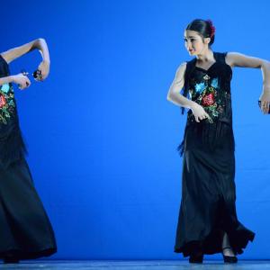 Fotografía de Concurso coreografías 2014. Nivel I - Conservatorio de Danza