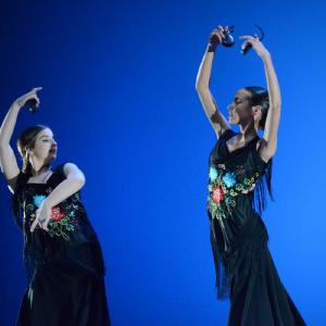 Fotografía de Concurso coreografías 2014. Nivel I - Conservatorio de Danza