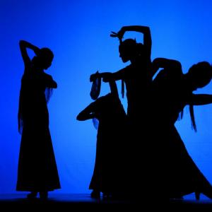 Fotografía de Concurso coreografías 2014. Nivel I - Conservatorio de Danza