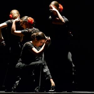 Fotografía de Concurso coreografías 2014. Nivel I - Conservatorio de Danza