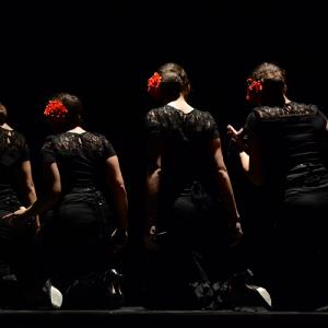 Fotografía de Concurso coreografías 2014. Nivel I - Conservatorio de Danza