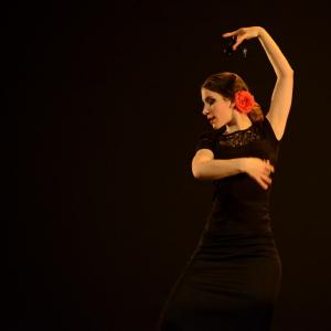 Fotografía de Concurso coreografías 2014. Nivel I - Conservatorio de Danza