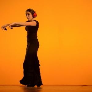 Fotografía de Concurso coreografías 2014. Nivel I - Conservatorio de Danza