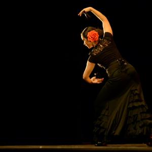 Fotografía de Concurso coreografías 2014. Nivel I - Conservatorio de Danza