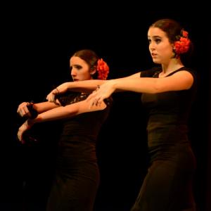 Fotografía de Concurso coreografías 2014. Nivel I - Conservatorio de Danza