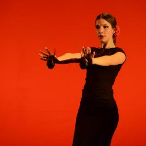 Fotografía de Concurso coreografías 2014. Nivel I - Conservatorio de Danza