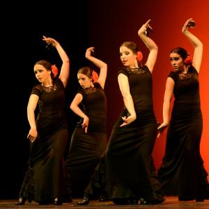 Fotografía de Concurso coreografías 2014. Nivel I - Conservatorio de Danza
