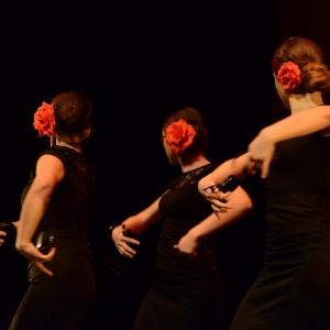 Fotografía de Concurso coreografías 2014. Nivel I - Conservatorio de Danza