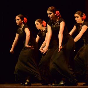 Fotografía de Concurso coreografías 2014. Nivel I - Conservatorio de Danza