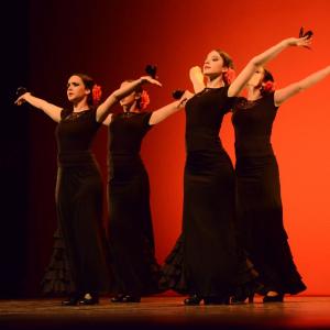 Fotografía de Concurso coreografías 2014. Nivel I - Conservatorio de Danza
