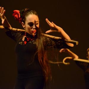 Fotografía de Concurso coreografías 2014. Nivel I - Conservatorio de Danza