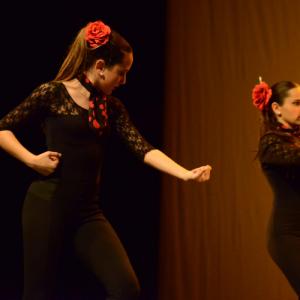Fotografía de Concurso coreografías 2014. Nivel I - Conservatorio de Danza