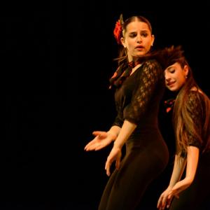 Fotografía de Concurso coreografías 2014. Nivel I - Conservatorio de Danza