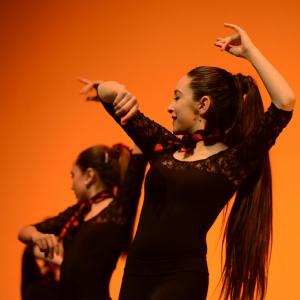 Fotografía de Concurso coreografías 2014. Nivel I - Conservatorio de Danza