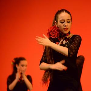 Fotografía de Concurso coreografías 2014. Nivel I - Conservatorio de Danza