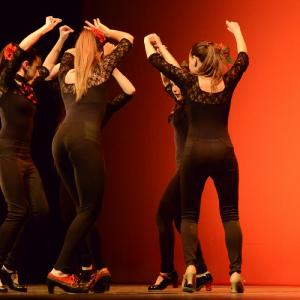 Fotografía de Concurso coreografías 2014. Nivel I - Conservatorio de Danza