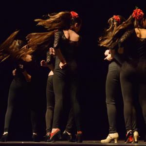 Fotografía de Concurso coreografías 2014. Nivel I - Conservatorio de Danza