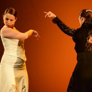 Fotografía de Concurso coreografías 2014. Nivel I - Conservatorio de Danza