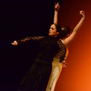 Fotografía de Concurso coreografías 2014. Nivel I - Conservatorio de Danza