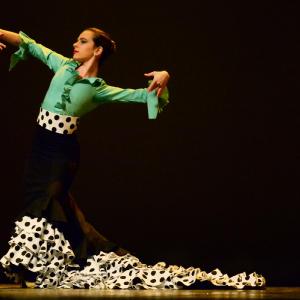 Fotografía de Concurso coreografías 2014. Nivel I - Conservatorio de Danza