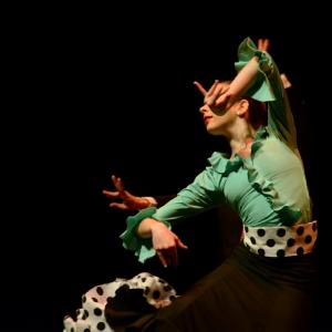 Fotografía de Concurso coreografías 2014. Nivel I - Conservatorio de Danza