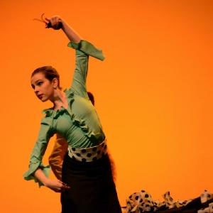 Fotografía de Concurso coreografías 2014. Nivel I - Conservatorio de Danza