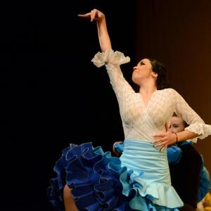 Fotografía de Concurso coreografías 2014. Nivel I - Conservatorio de Danza