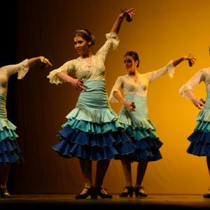 Fotografía de Concurso coreografías 2014. Nivel I - Conservatorio de Danza