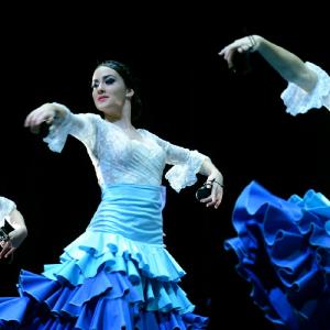 Fotografía de Concurso coreografías 2014. Nivel I - Conservatorio de Danza