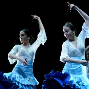 Fotografía de Concurso coreografías 2014. Nivel I - Conservatorio de Danza