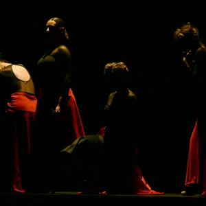 Fotografía de Concurso coreografías 2014. Nivel I - Conservatorio de Danza