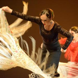 Fotografía de Concurso coreografías 2014. Nivel I - Conservatorio de Danza