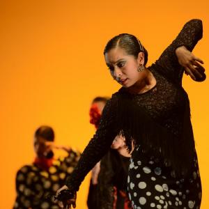 Fotografía de Concurso coreografías 2014. Nivel I - Conservatorio de Danza