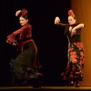 Fotografía de Concurso coreografías 2014. Nivel I - Conservatorio de Danza