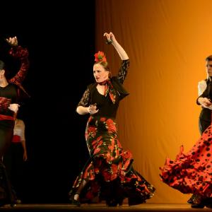 Fotografía de Concurso coreografías 2014. Nivel I - Conservatorio de Danza