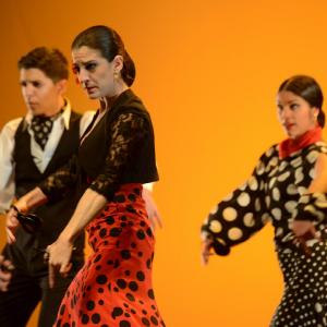 Fotografía de Concurso coreografías 2014. Nivel I - Conservatorio de Danza