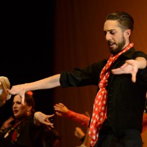 Fotografía de Concurso coreografías 2014. Nivel I - Conservatorio de Danza