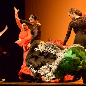 Fotografía de Concurso coreografías 2014. Nivel I - Conservatorio de Danza