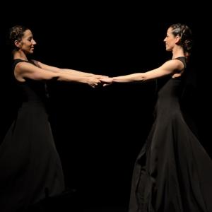 Fotografía de Conservatorio de danza: Ayres - Conservatorio de Danza