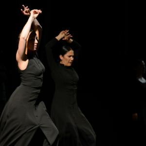 Fotografía de Conservatorio de danza: Ayres - Conservatorio de Danza