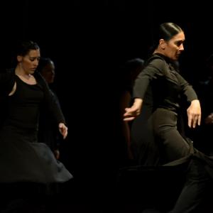 Fotografía de Conservatorio de danza: Ayres - Conservatorio de Danza