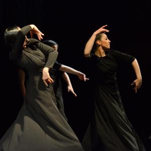 Fotografía de Conservatorio de danza: Ayres - Conservatorio de Danza