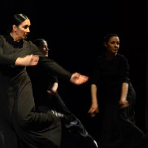 Fotografía de Conservatorio de danza: Ayres - Conservatorio de Danza