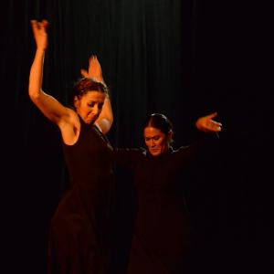 Fotografía de Conservatorio de danza: Ayres - Conservatorio de Danza