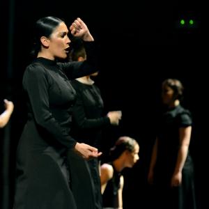 Fotografía de Conservatorio de danza: Ayres - Conservatorio de Danza