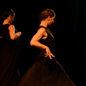Fotografía de Conservatorio de danza: Ayres - Conservatorio de Danza