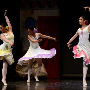 Fotografía de Granada en Danza - Conservatorio de Danza