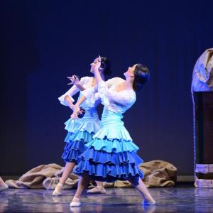 Fotografía de Granada en Danza - Conservatorio de Danza